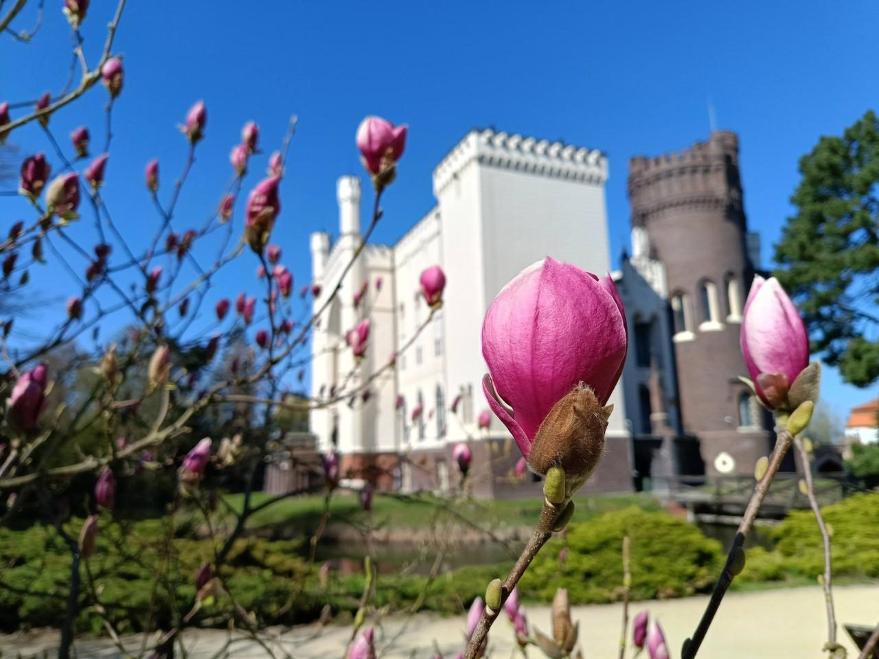 To już! Podpoznańska atrakcja zaprasza na wyjątkowy weekend