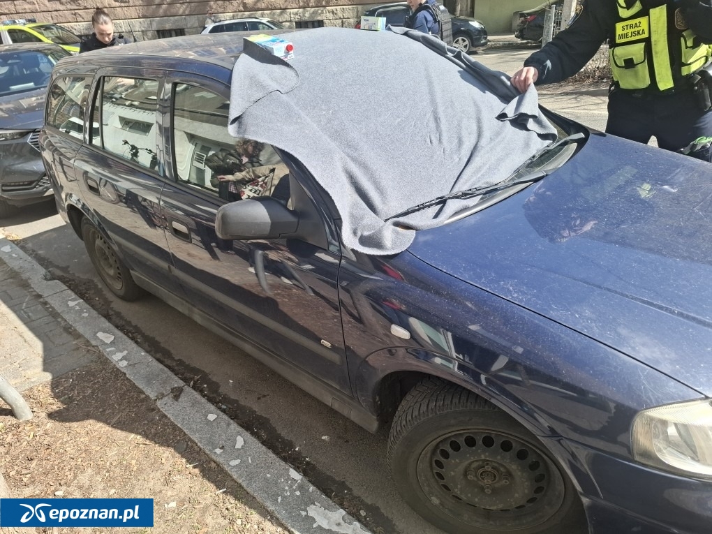 fot. Straż Miejska Miasta Poznania