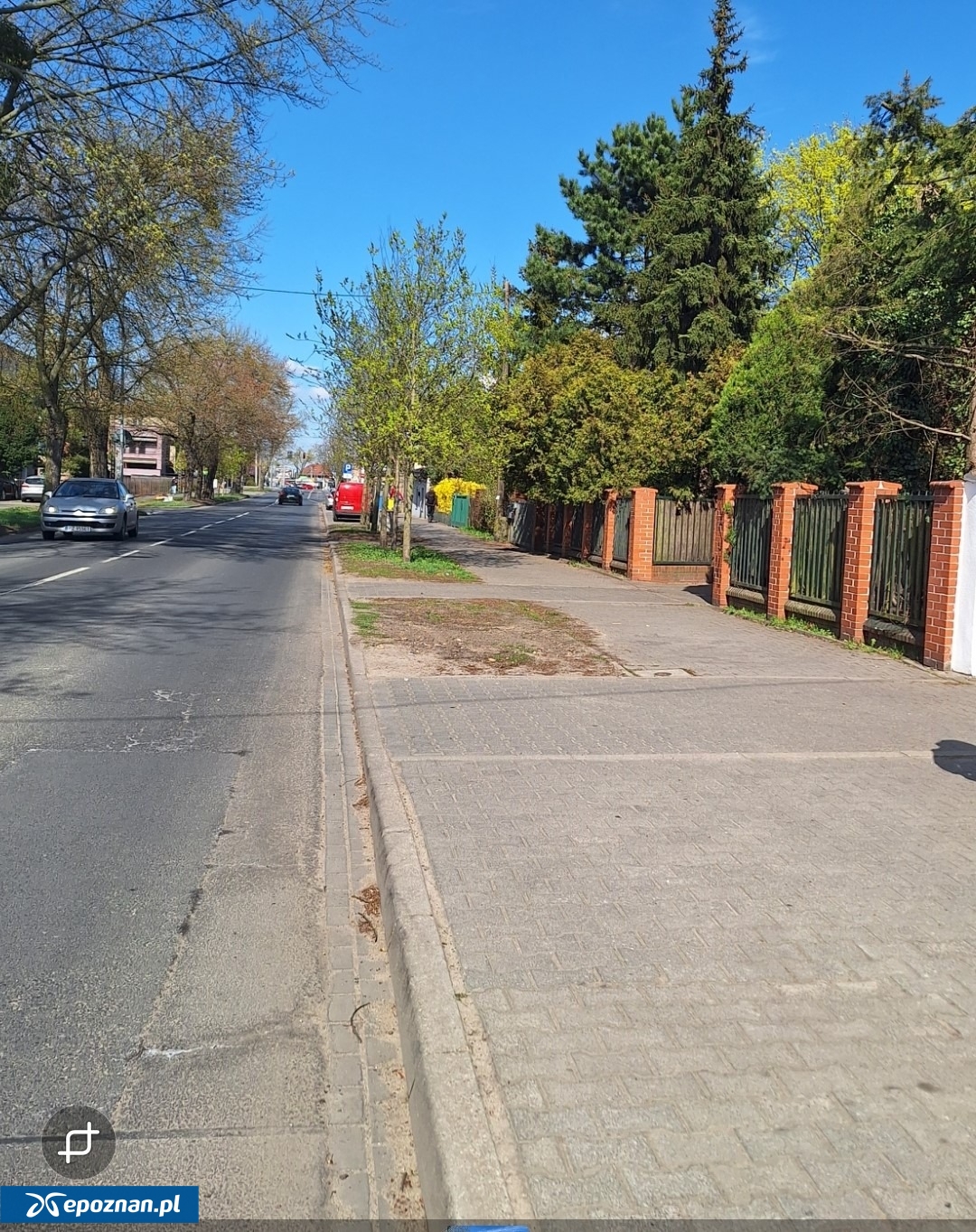 fot. Straż Miejska Miasta Poznania