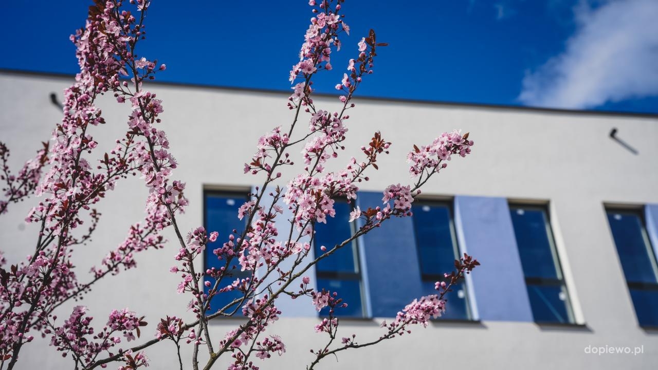 fot. Gmina Dopiewo / FB