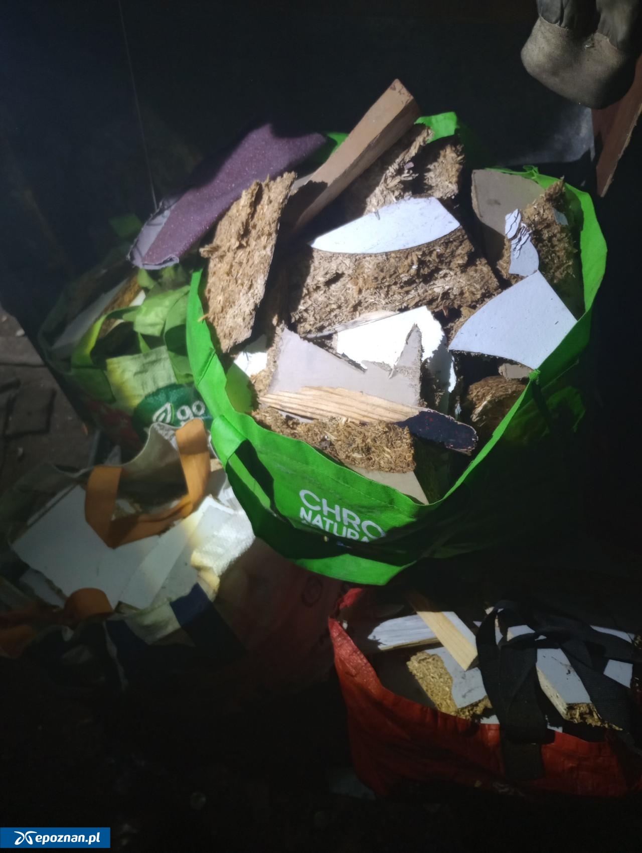 fot. Straż Miejska Miasta Poznania / FB