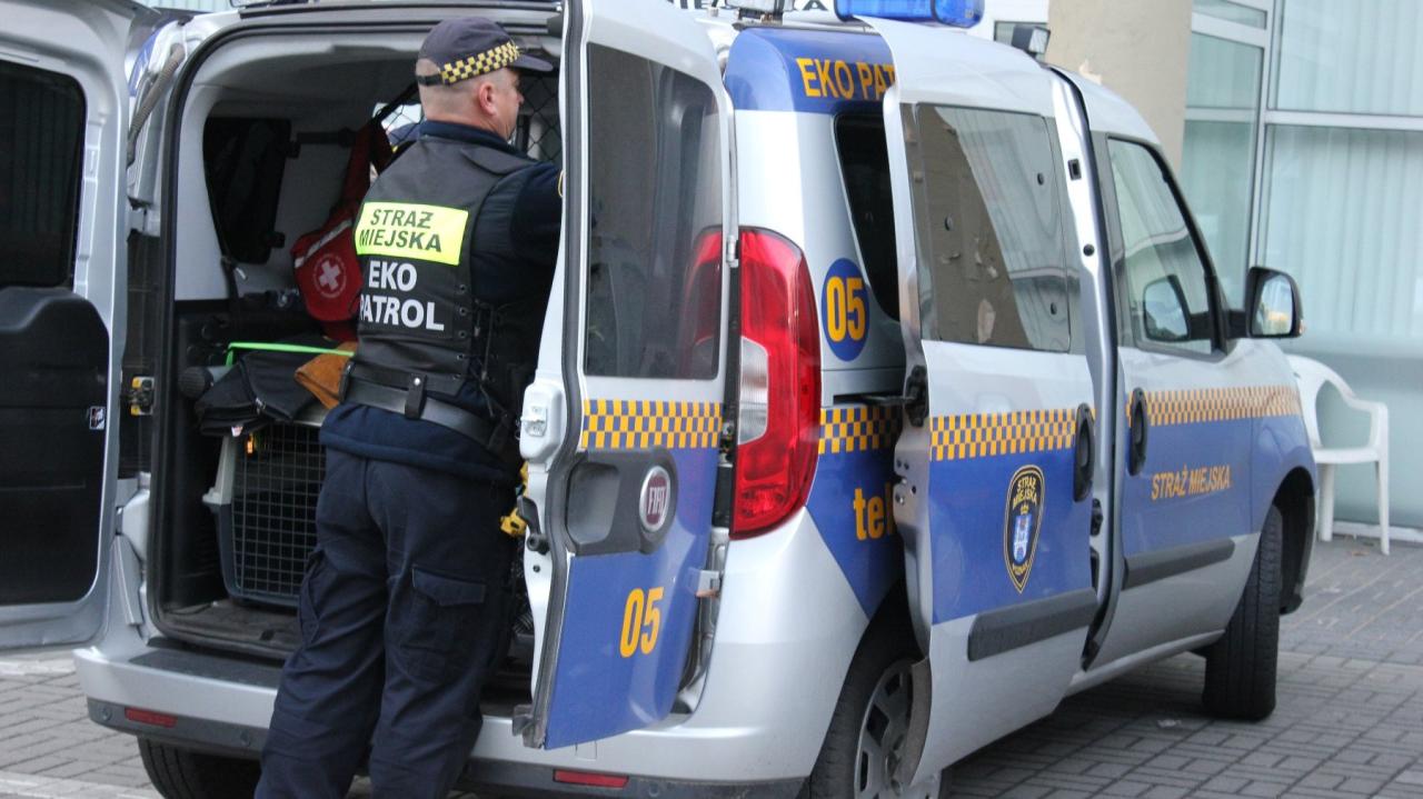 Gęsty dym przy poznańskiej ulicy. "Zdarzenie mogło zakończyć się tragicznie"