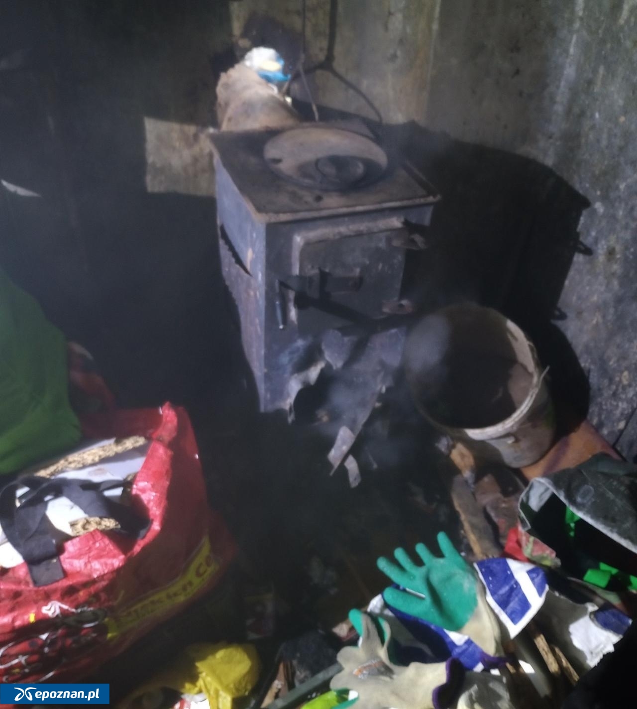 fot. Straż Miejska Miasta Poznania / FB