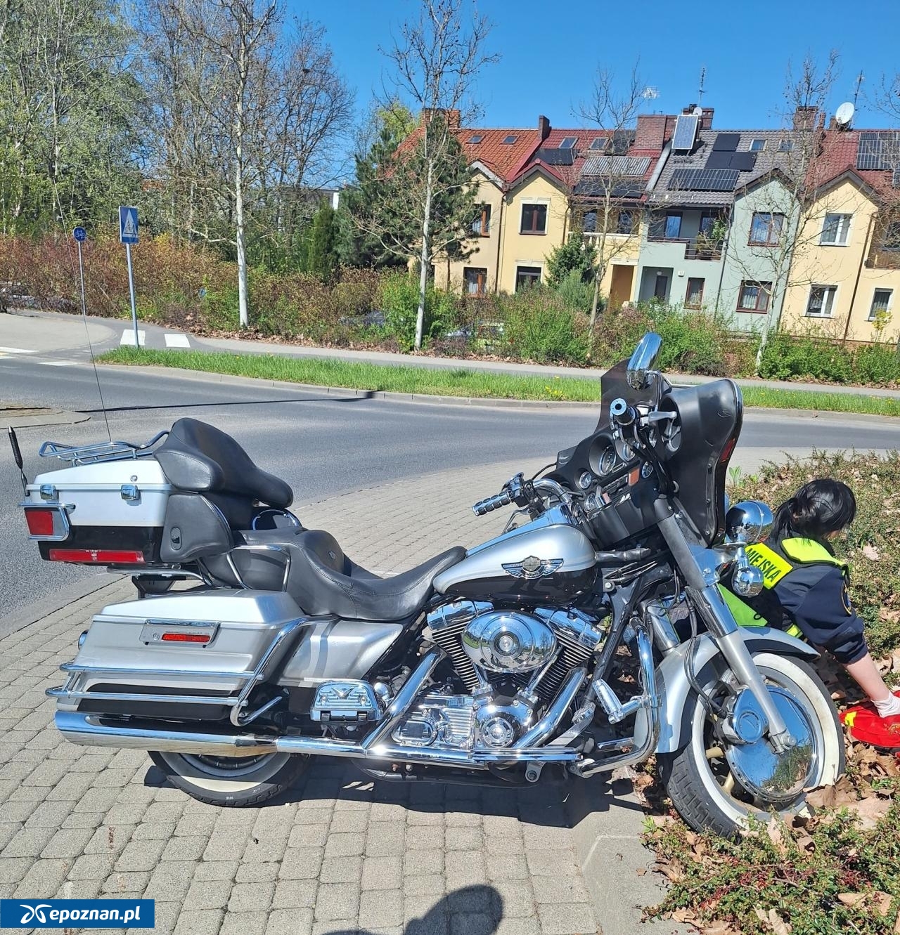 fot. Straż Miejska Miasta Poznania