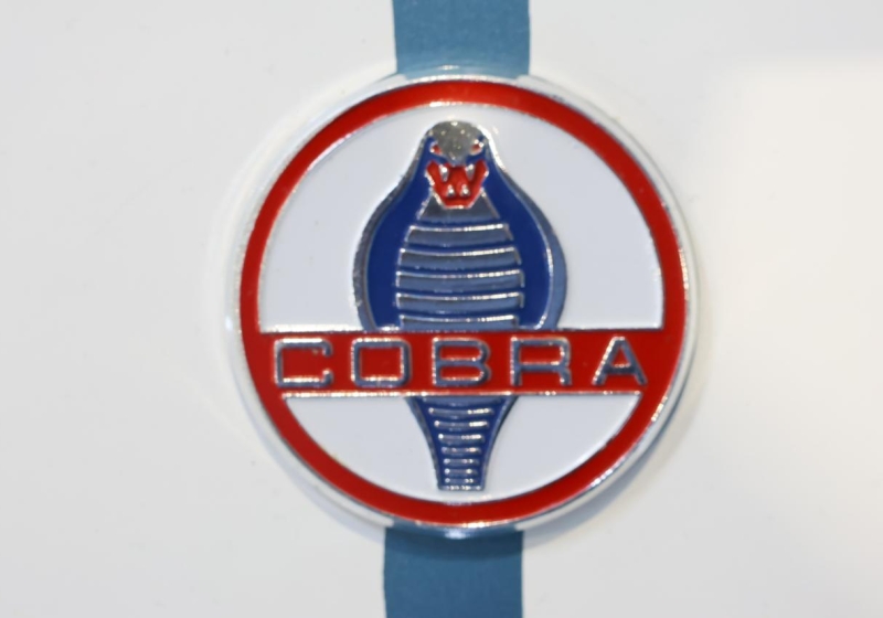 fot. Tomasz Sokołowski