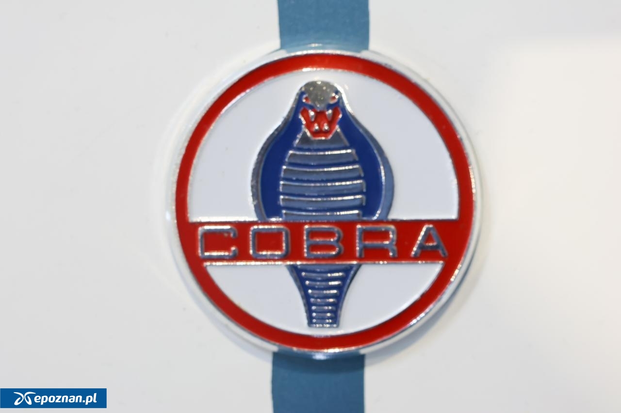 fot. Tomasz Sokołowski