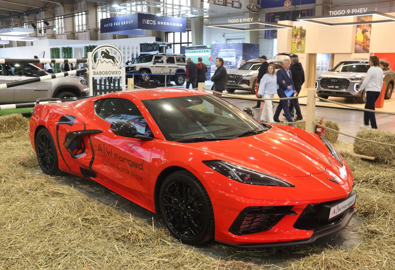 Takie widoki do niedzieli na MTP. To targi, które zawsze przyciągają tłumy!