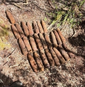 fot. KMP Leszno / FB