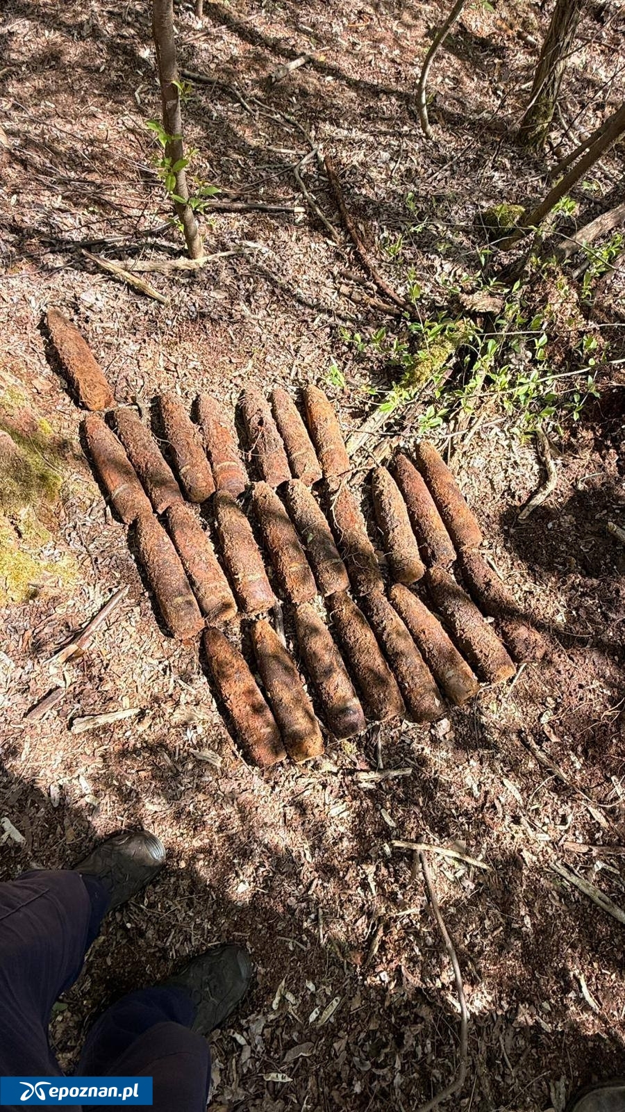 fot. KMP Leszno / FB