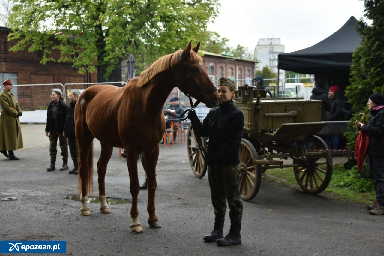 Wyjątkowo widowiskowe wydarzenie przez cały weekend w Poznaniu. W różnych częściach miasta