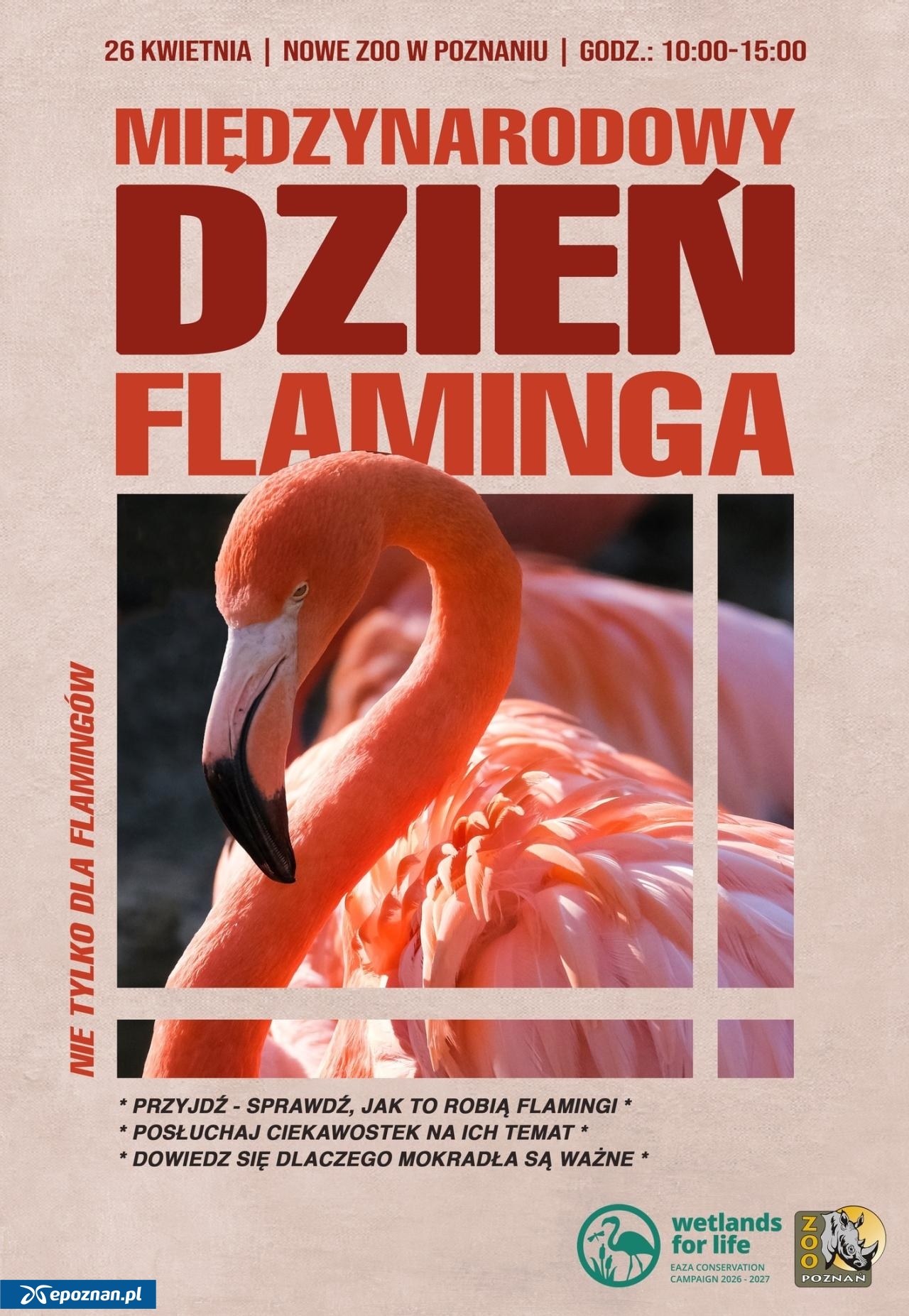 fot. ZOO Poznań Official / Facebook