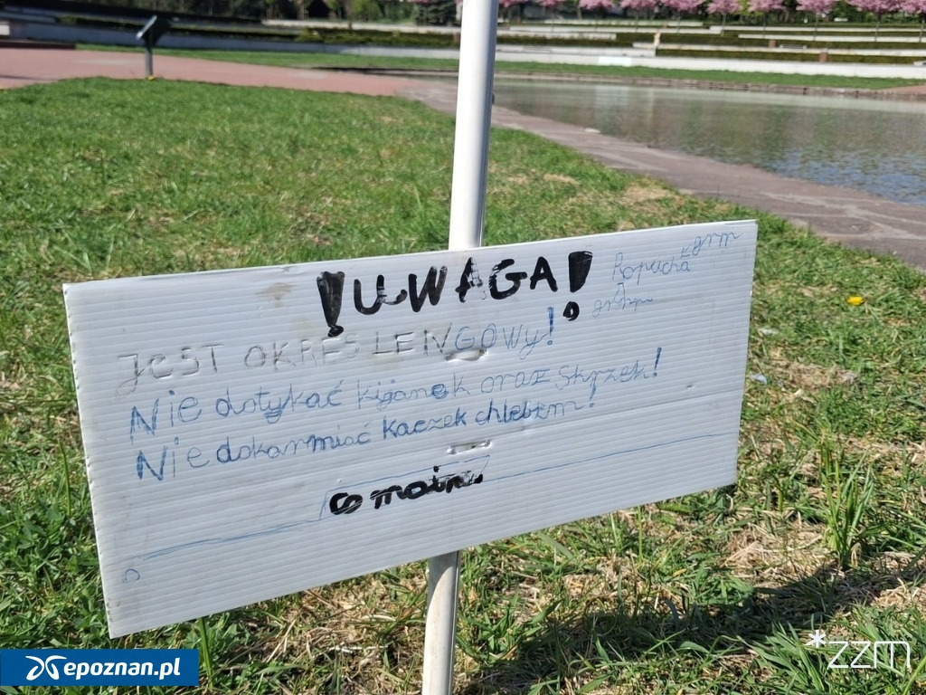 fot. ZZM Poznań