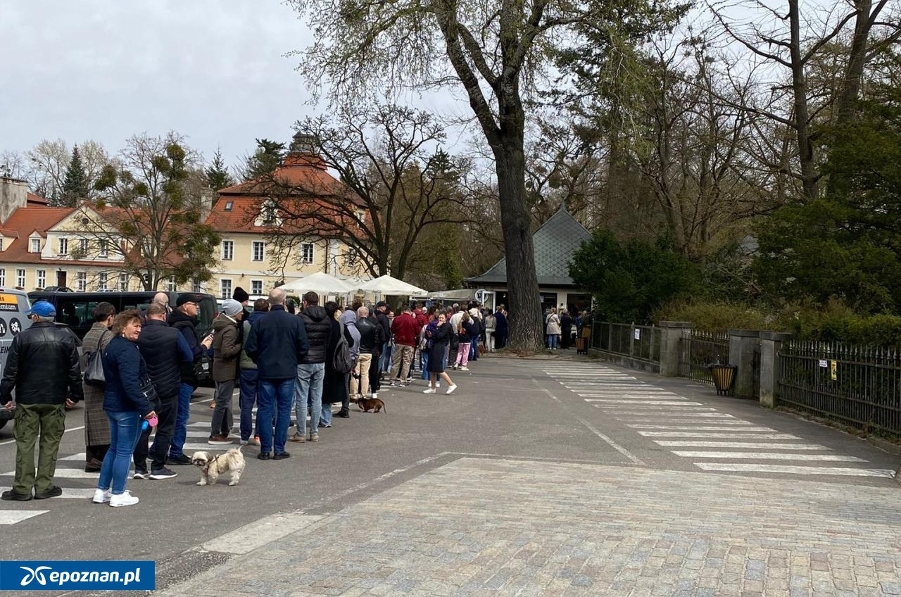 To popularne miejsce pod Poznaniem istnieje już 200 lat. W weekend majowy może przeżywać oblężenie