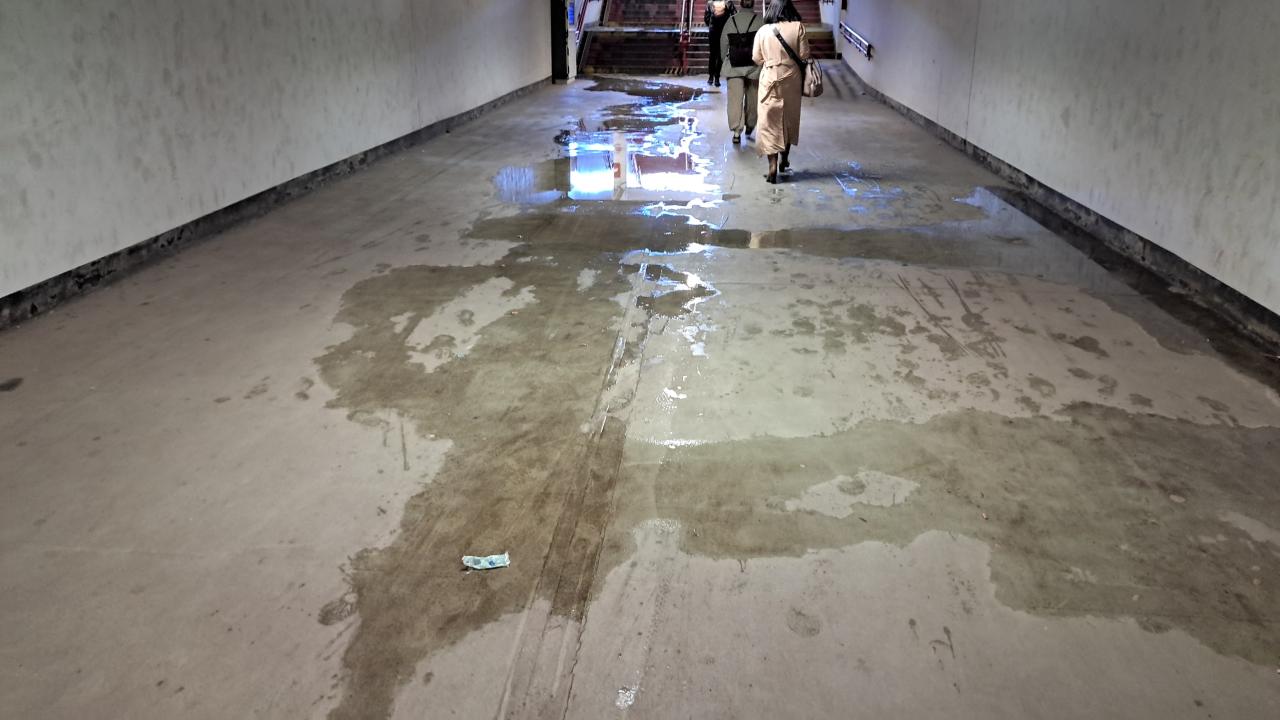 Rozlana ciecz i smród fekaliów w poznańskim przejściu dla pieszych. Kolejny raz