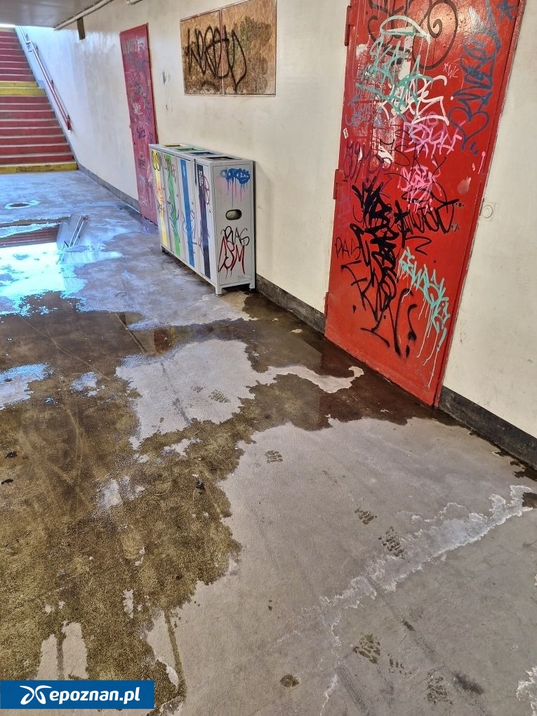 fot. Straż Miejska Miasta Poznania