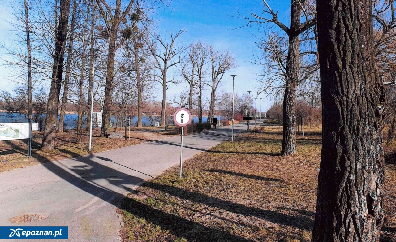 fot. Andrzej Prendke