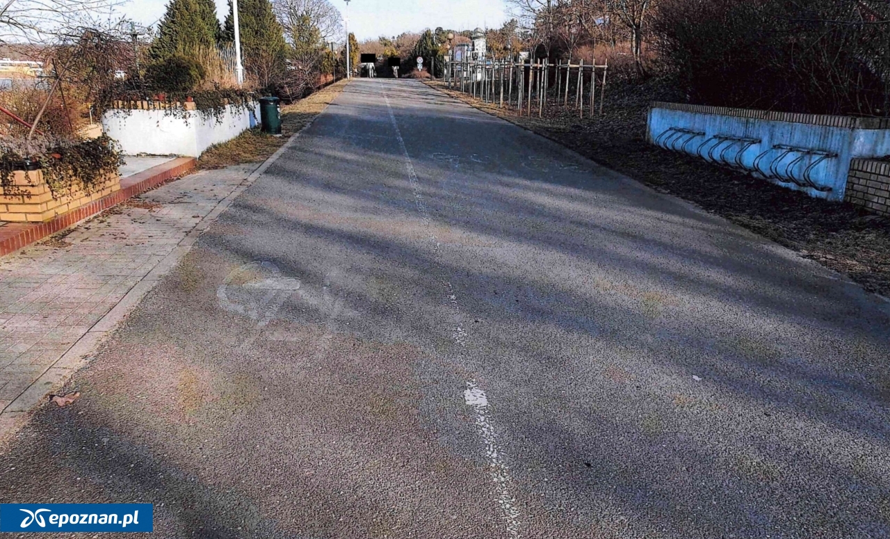 fot. Andrzej Prendke