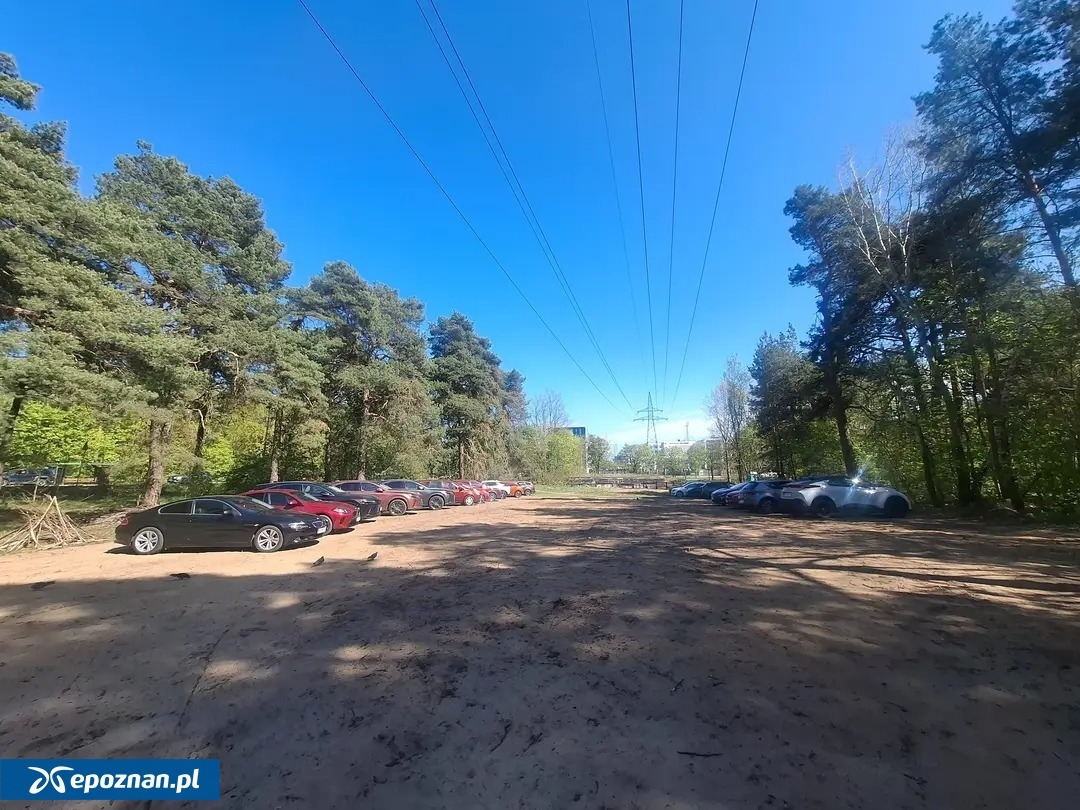Miejsca postojowe w klinie zieleni przy Malcie: mamy odpowiedź Pyrland Parku. "Teren był wielokrotnie użytkowany jako dziki parking"
