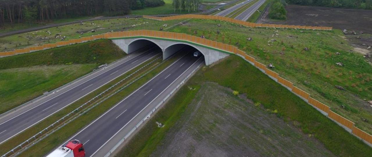 Będzie ciszej na trzech odcinkach drogi ekspresowej S5