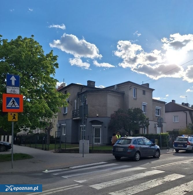 fot. Straż Miejska Miasta Poznania