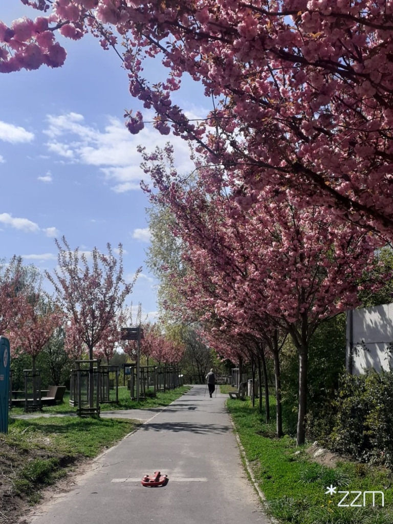 fot. ZZM Poznań