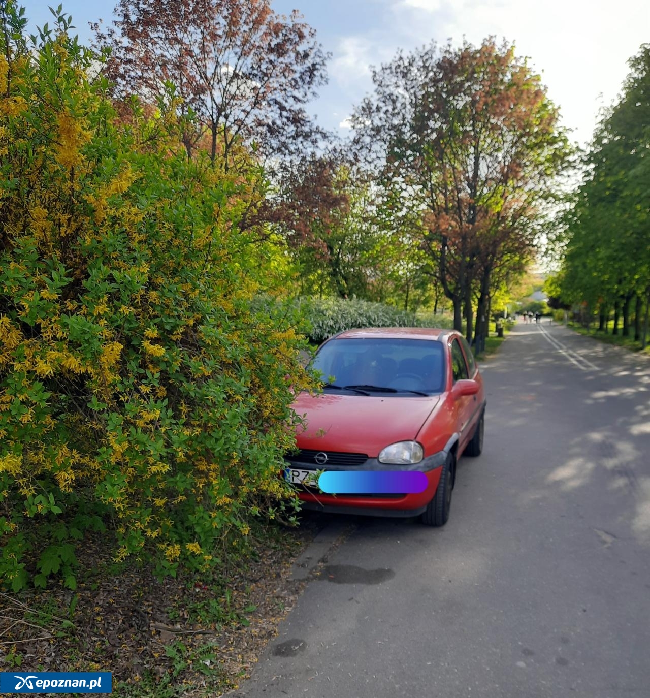 fot. Czytelniczka