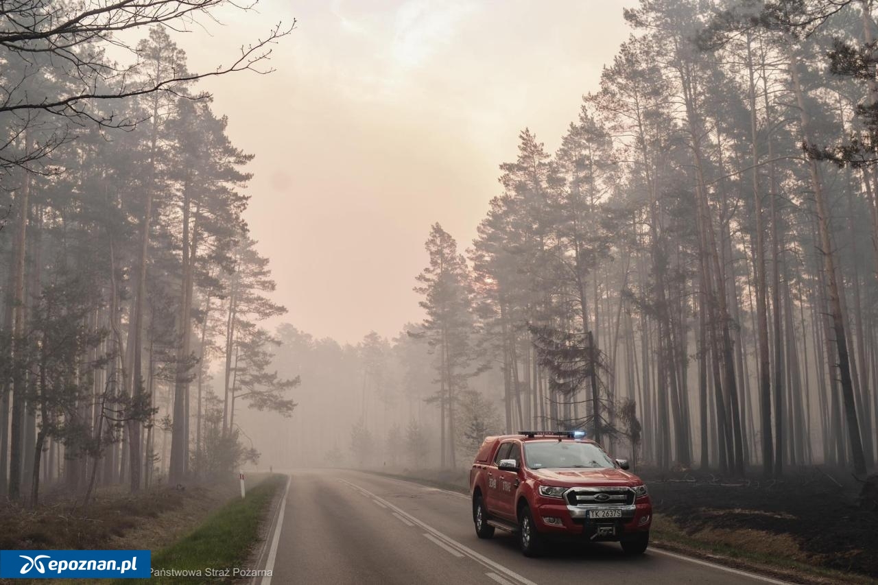 fot. Państwowa Straż Pożarna