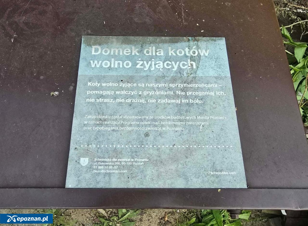fot. Czytelniczka