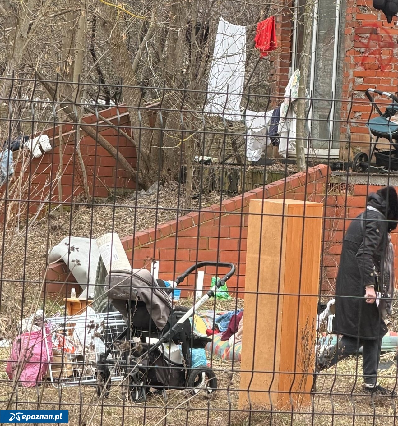 fot. Czytelniczka