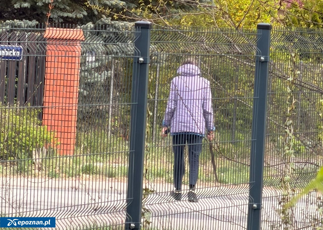 fot. Czytelniczka