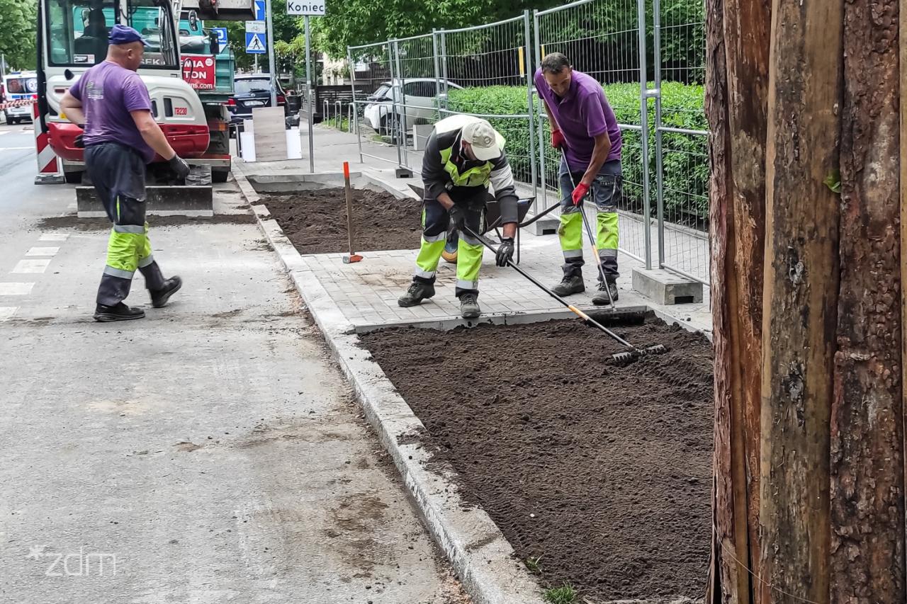 Więcej zieleni na Jeżycach. Odbrukowują przestrzeń na dwóch ulicach