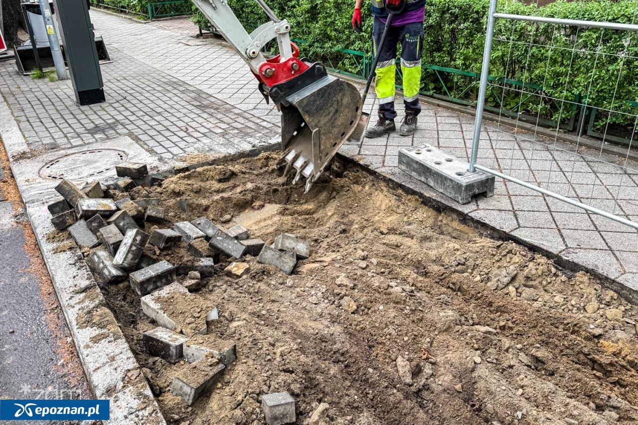 fot. ZDM Poznań