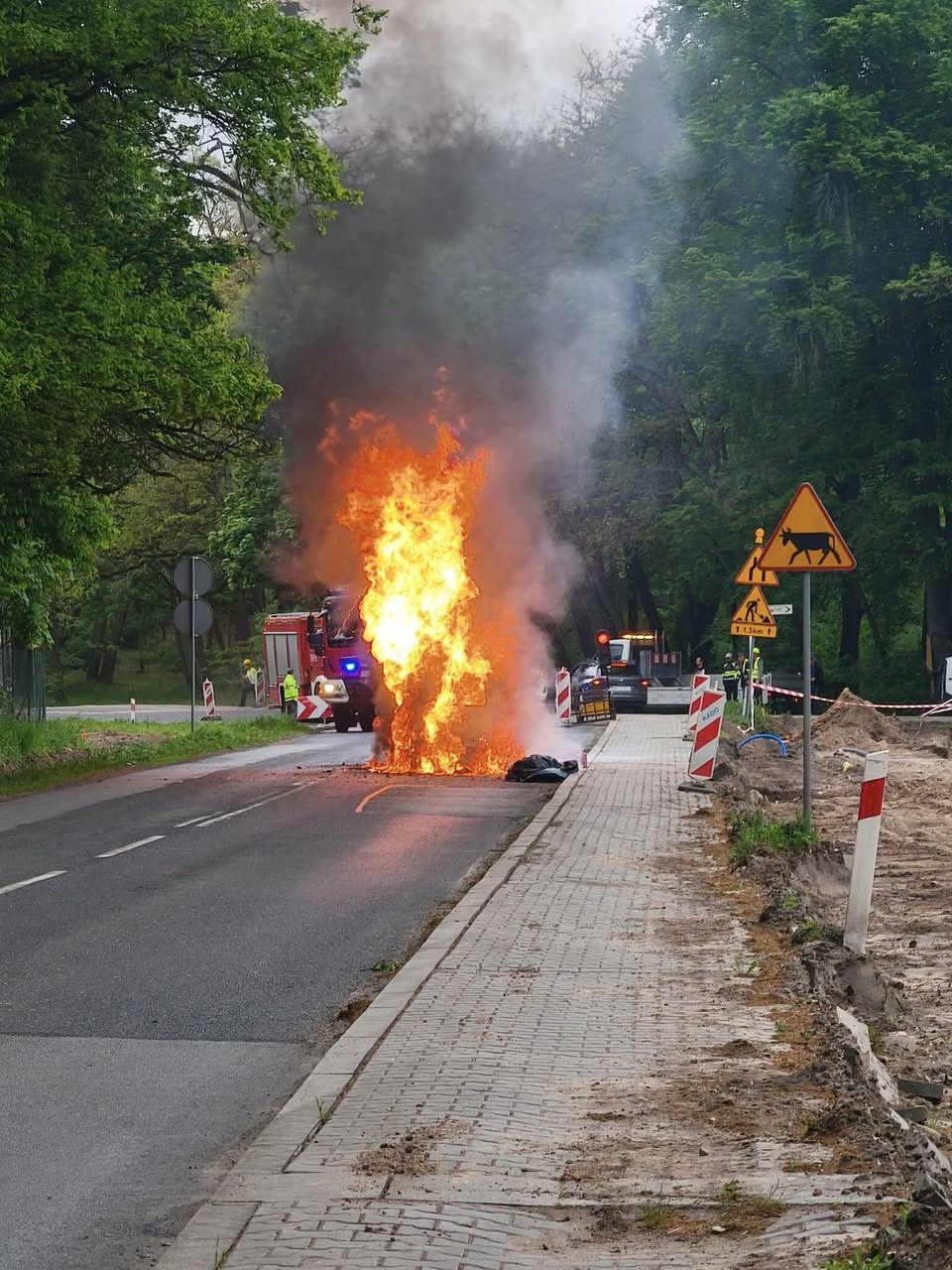 Pożar auta w Rogalinie