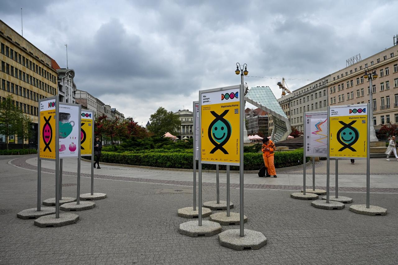 Taka wystawa stanęła w samym centrum Poznania. "To nasz mały eksperyment naukowo-artystyczny"
