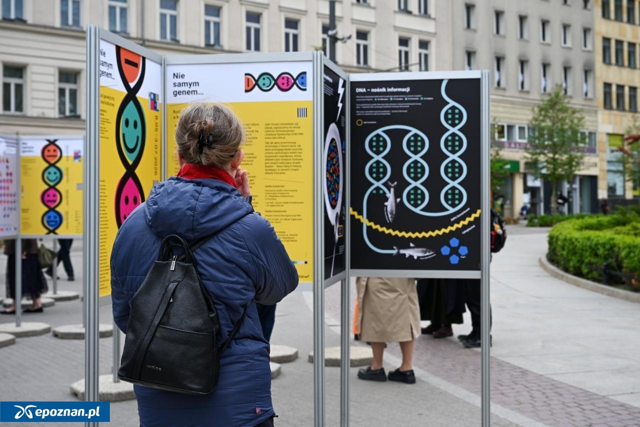 fot. UM Poznań
