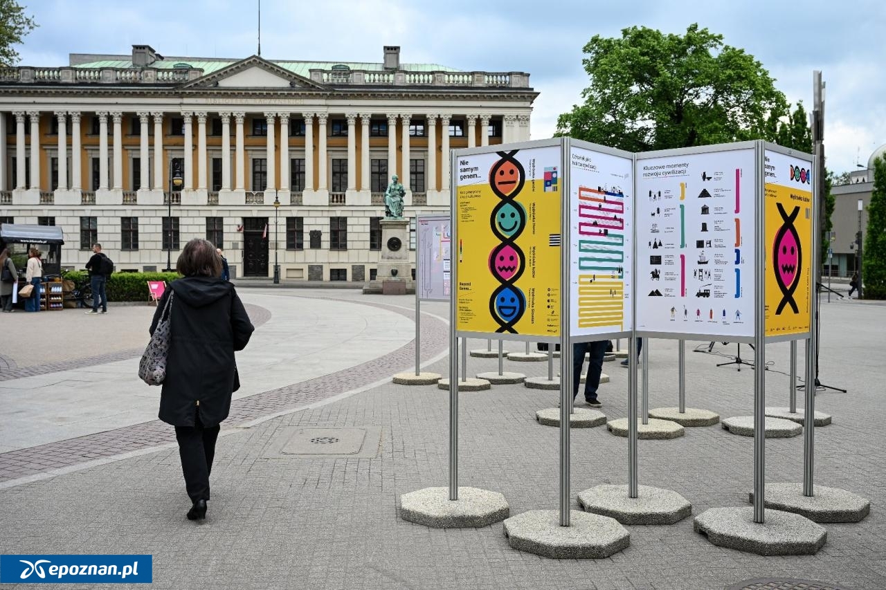 fot. UM Poznań