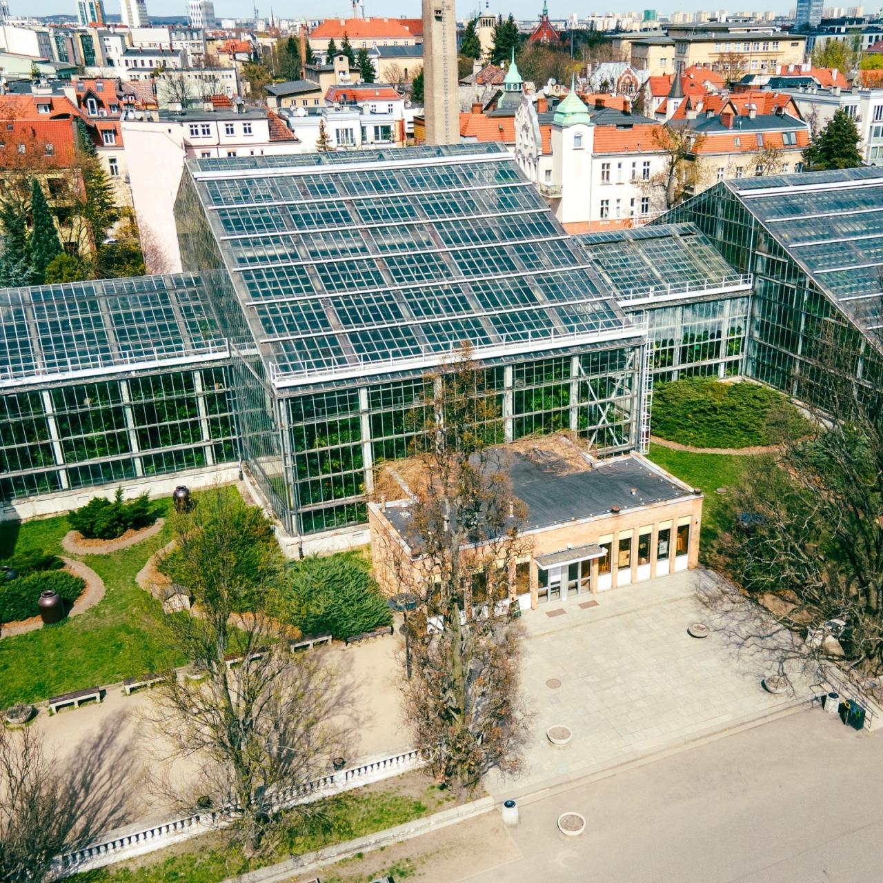 Jedna z największych atrakcji Poznania zostanie wreszcie zmodernizowana Jest pięć ofert przetargowych, jedna mieści się w budżecie