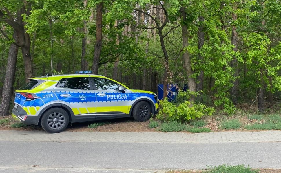 Zwłoki w poznańskim lasku. Na miejscu pracują służby