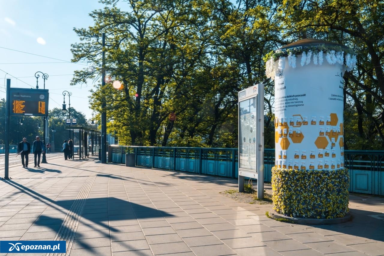 fot. UM Poznań