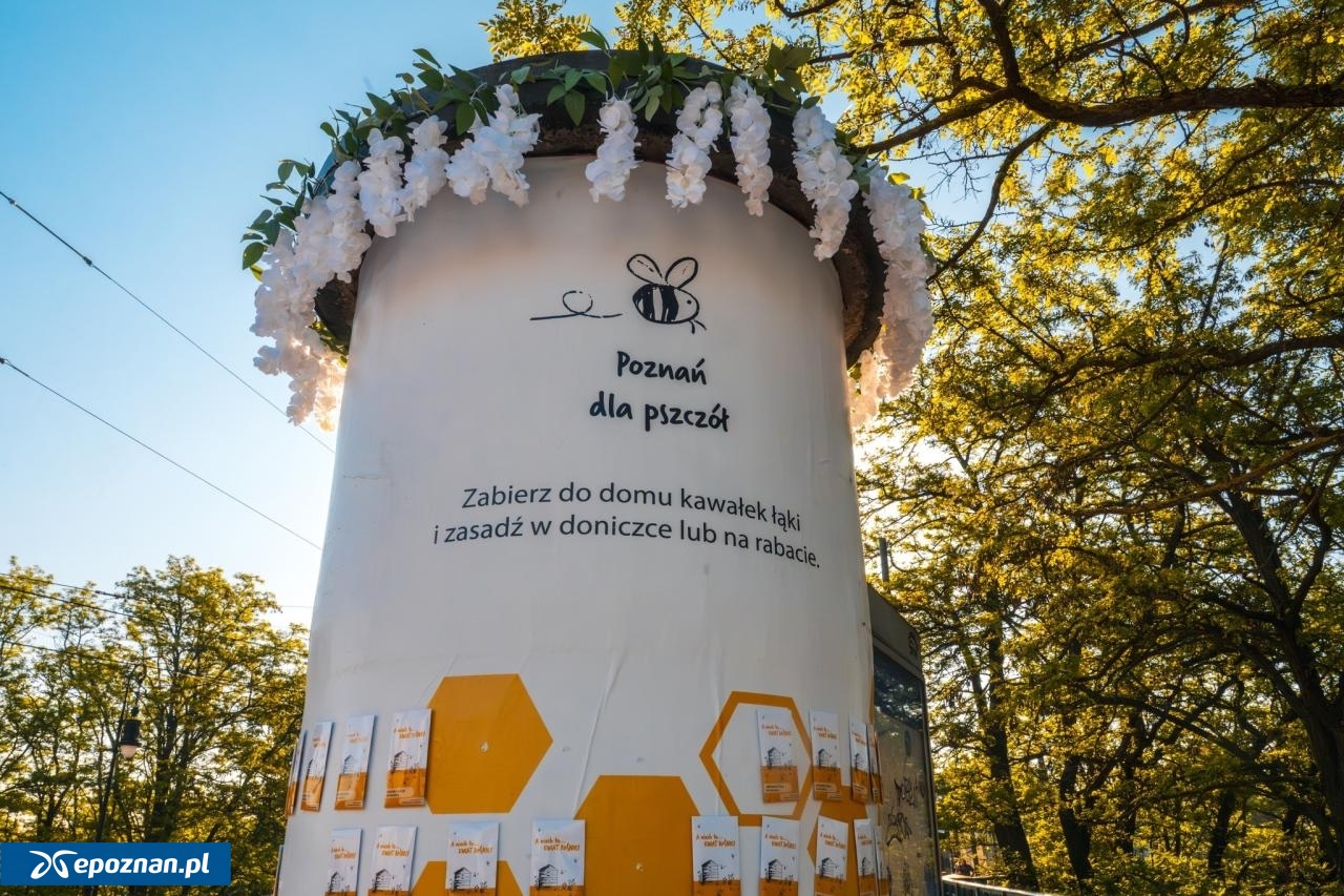 fot. UM Poznań