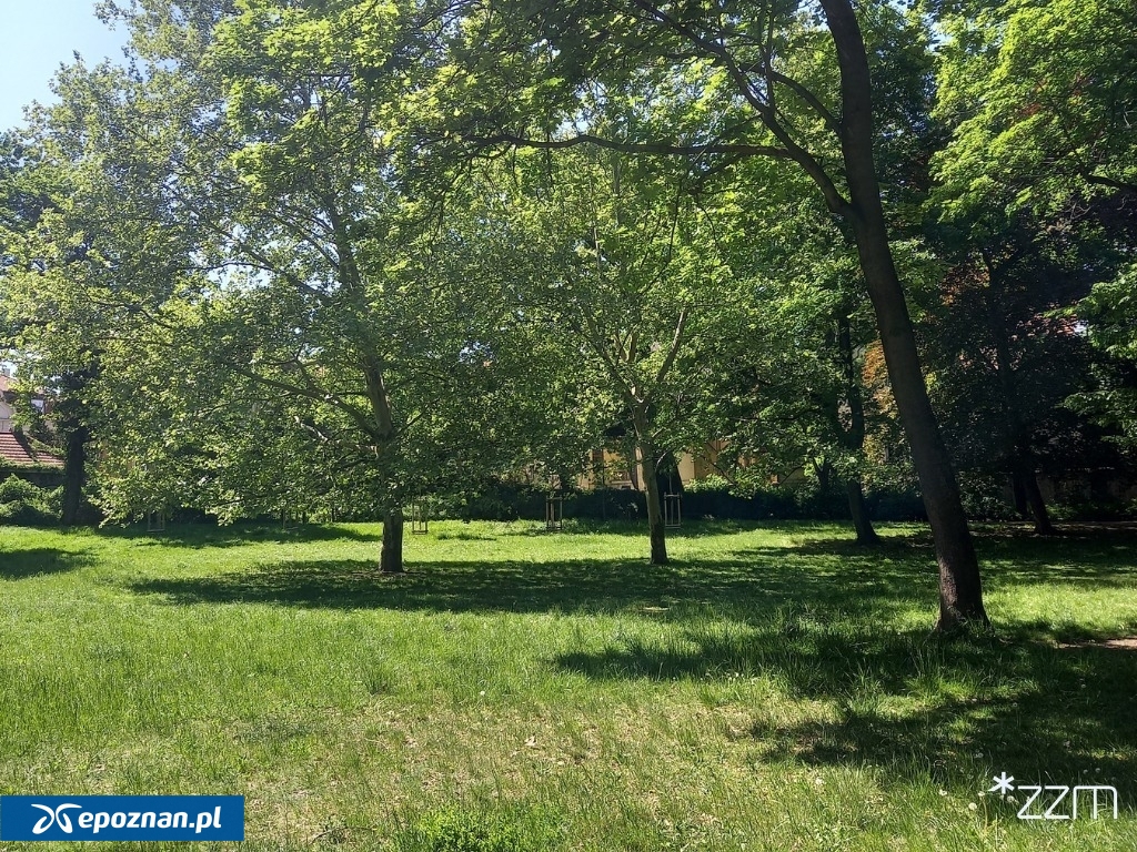 fot. ZZM Poznań