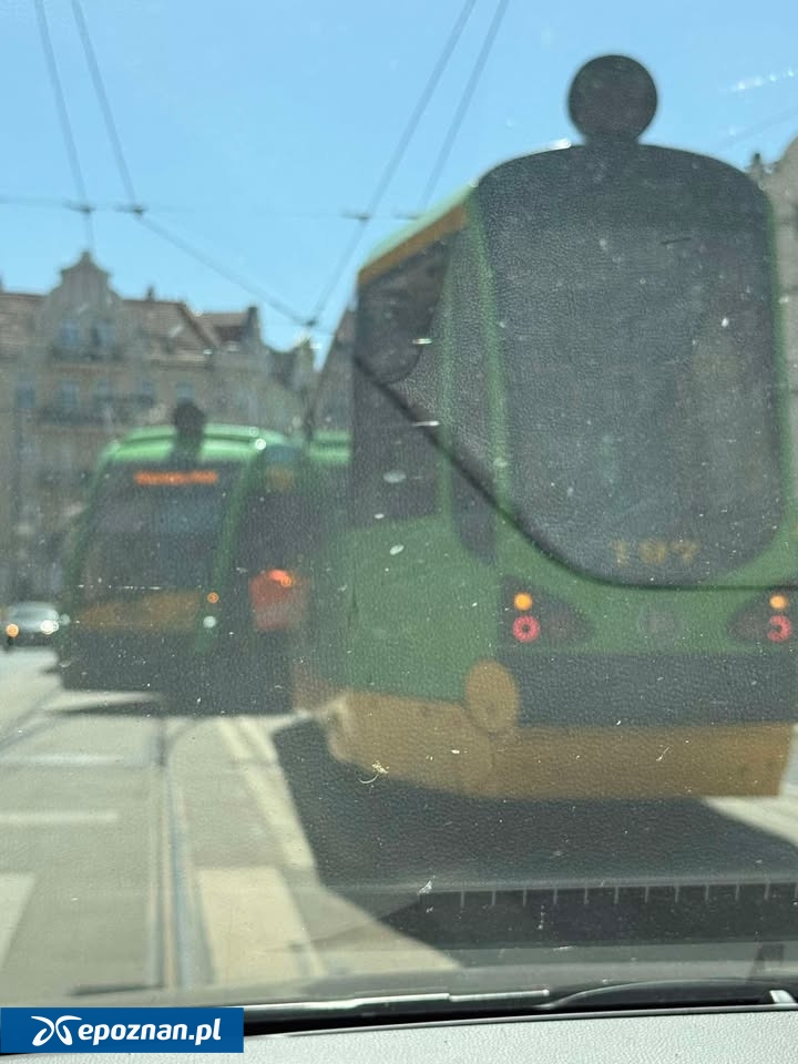 fot. Czytelniczka