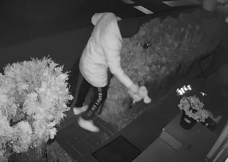 Mężczyzna w kominiarce podrzucił na posesję misia nafaszerowanego substancją zabronioną. Wyznaczono nagrodę dla osoby, która pomoże znaleźć mężczyznę