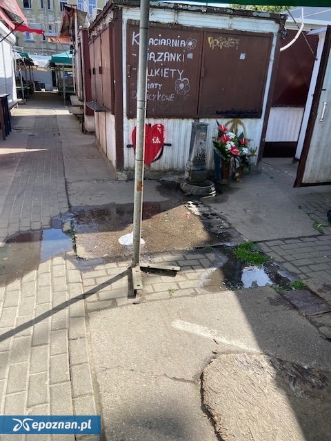 fot. Czytelnik