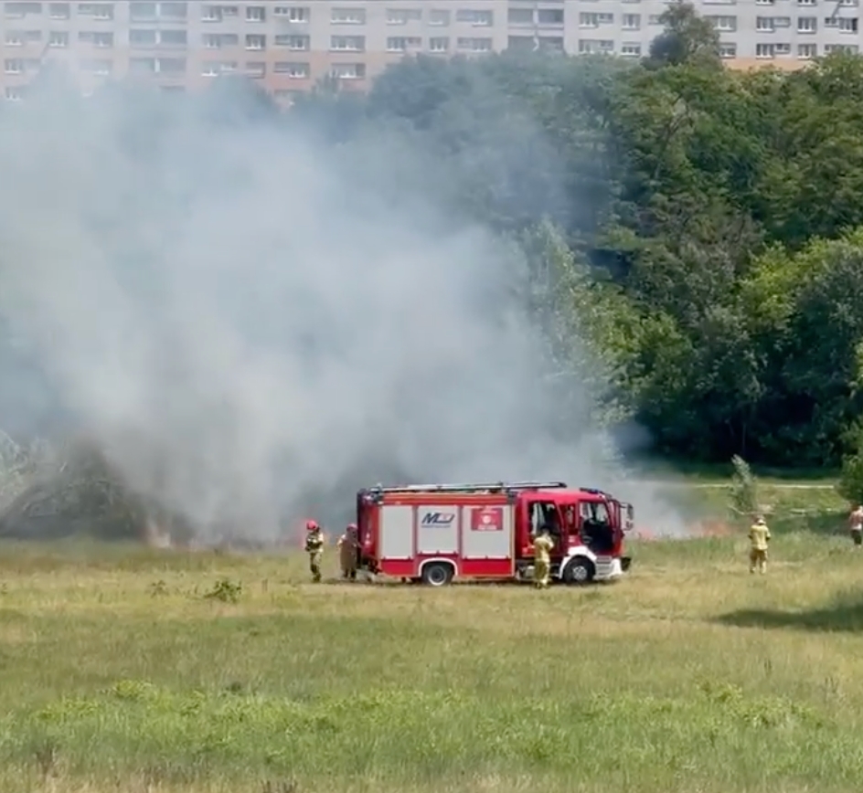 Pożar na nadwarciańskich terenach