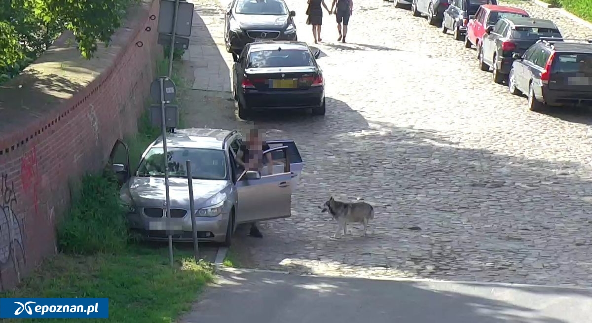 fot. Monitoring Miejski / SMMP / FB