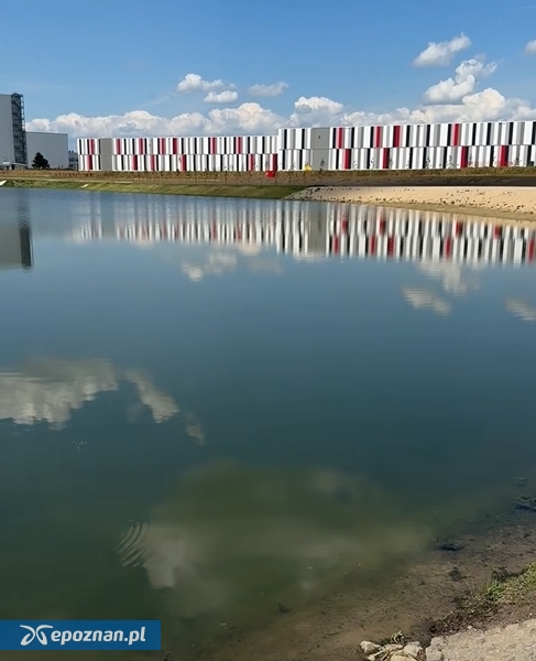fot. Tadeusz Czajka - Wójt Gminy Tarnowo Podgórne / FB / screen