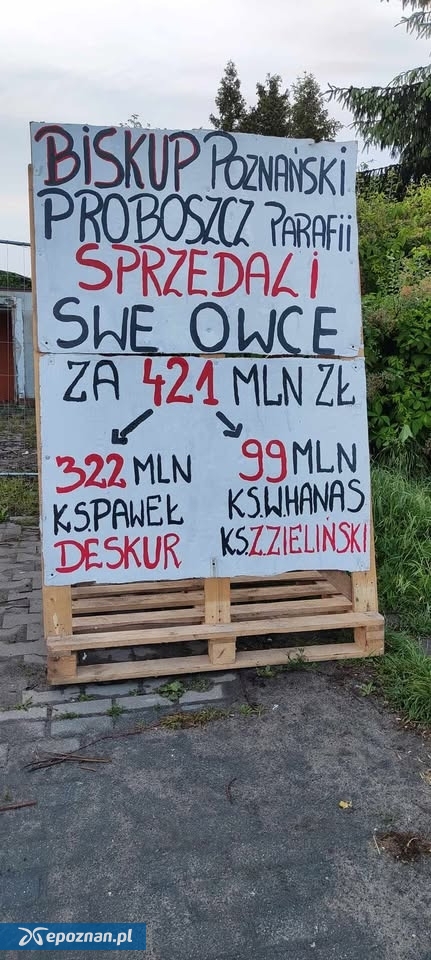 fot. Alicja