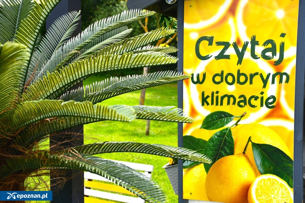 fot. Gminna Biblioteka Publiczna i Centrum Kultury w Dopiewie