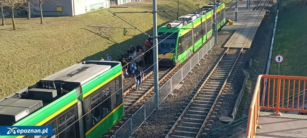 Atak na motorniczą w tramwaju. Są nowe informacje
